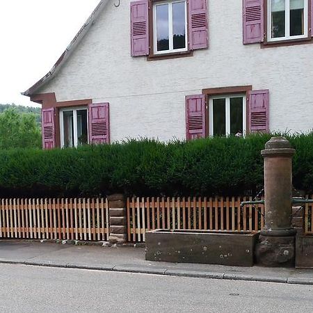 Un Gite Dans La Vallee Obersteinbach Eksteriør bilde