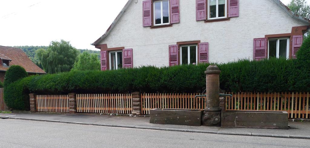Un Gite Dans La Vallee Obersteinbach Eksteriør bilde