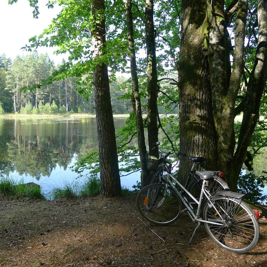 Un Gite Dans La Vallee Obersteinbach Eksteriør bilde