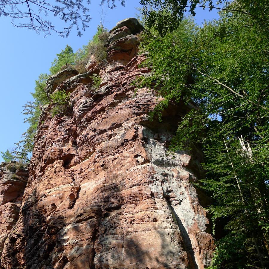 Un Gite Dans La Vallee Obersteinbach Eksteriør bilde