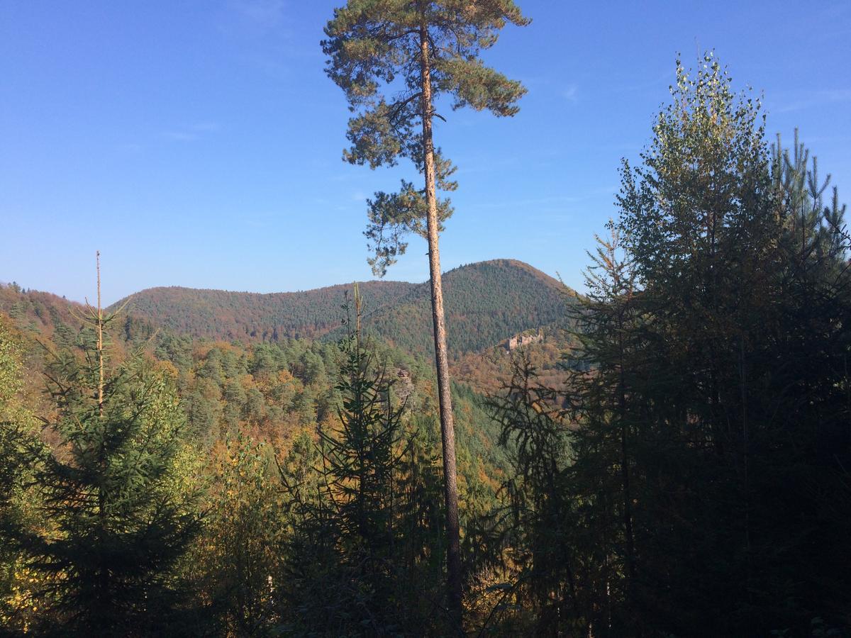 Un Gite Dans La Vallee Obersteinbach Eksteriør bilde